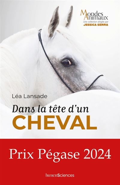 Entetatete dans la tête d'un cheval