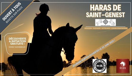 En TET à TETE Équitation adulte