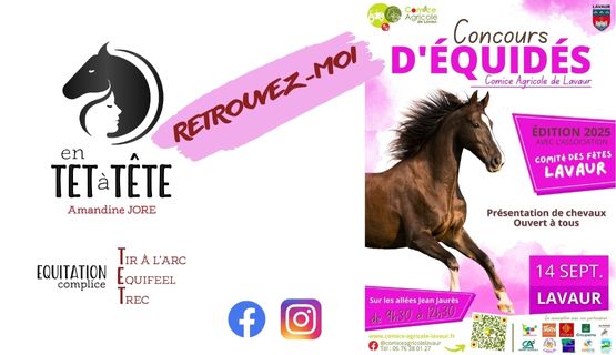 En TET à TETE Concours d'équidés  Lavaur