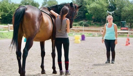 En TET à TETE Éducation éthologique équifeel