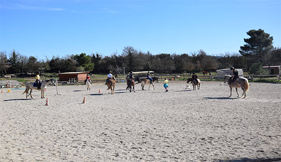En TET à TETE Équitation adulte