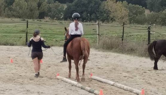 En TET à TETE Équitation débutant