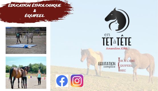 En TET à TETE Éducation éthologique équifeel