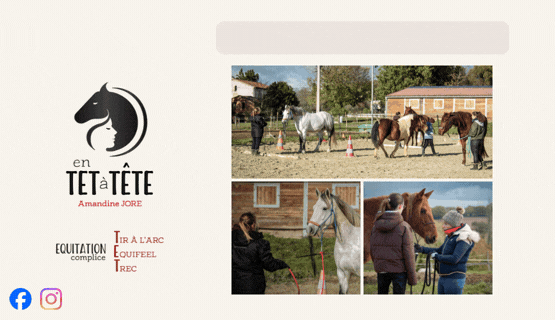 En TET à TETE Éducation éthologique équifeel