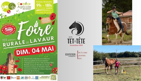 En TET à TETE Foire de Lavaur