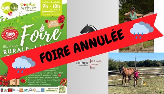 En TET à TETE Équitation adulte