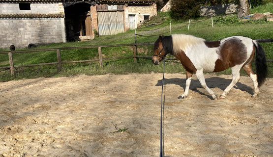 En TET à TETE La longe