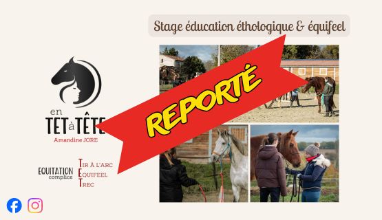 En TET à TETE Éducation éthologique équifeel